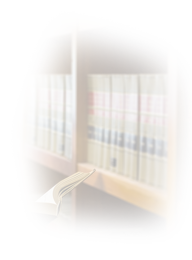 أمريكية تعيش في الإسكندرية: حب البحر المتوسط يجمعنا